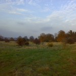 heath autumn